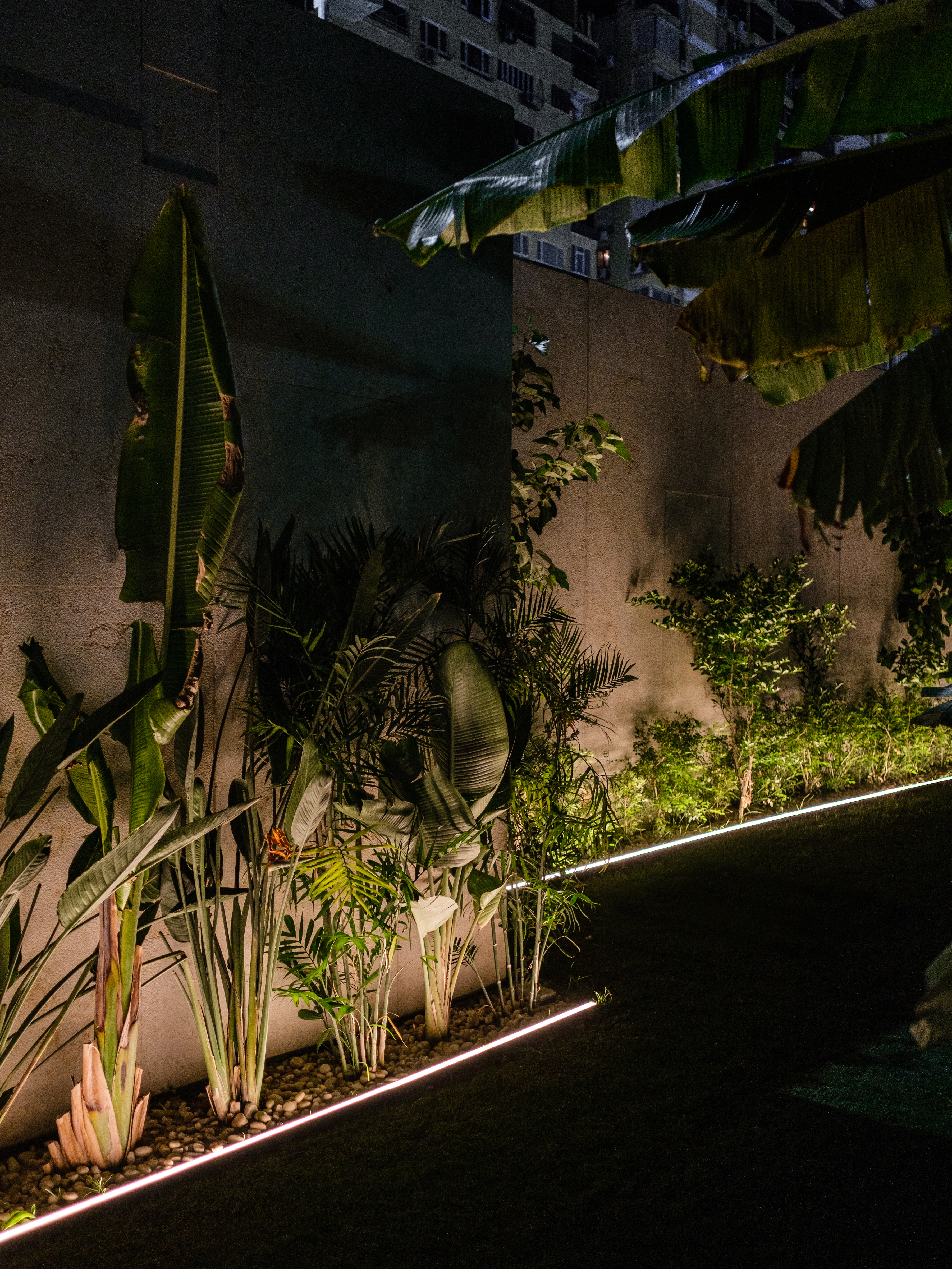 Salon Du Nil - Image 3